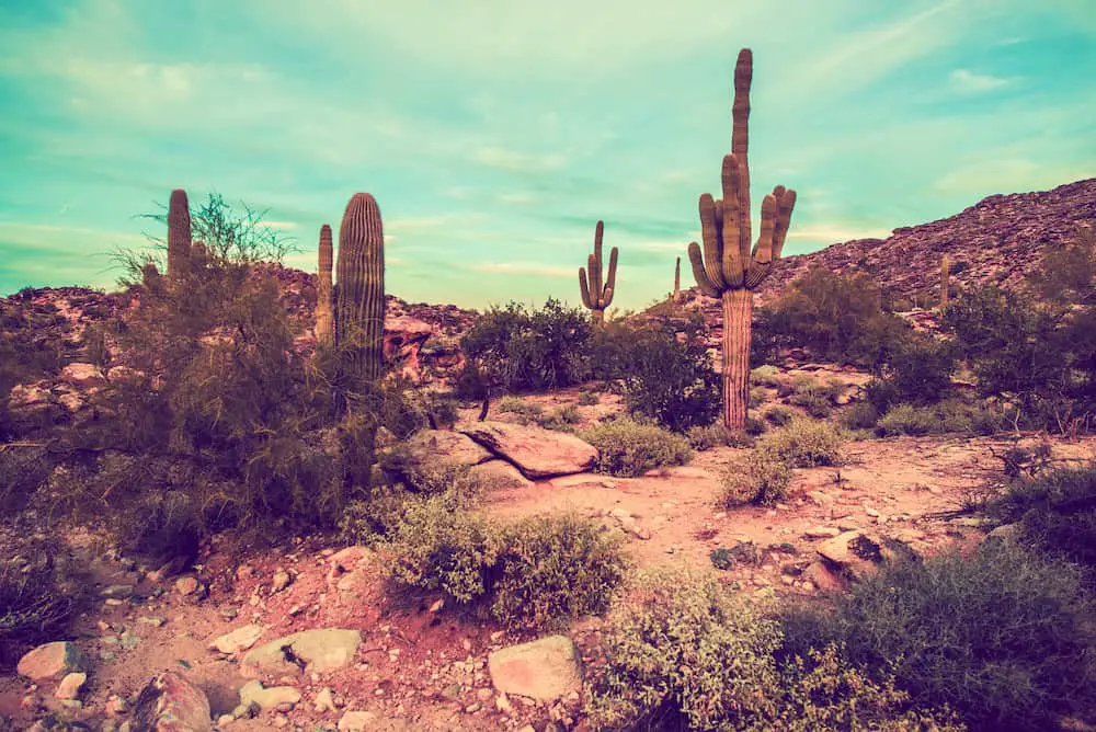 Metal Detecting in Arizona