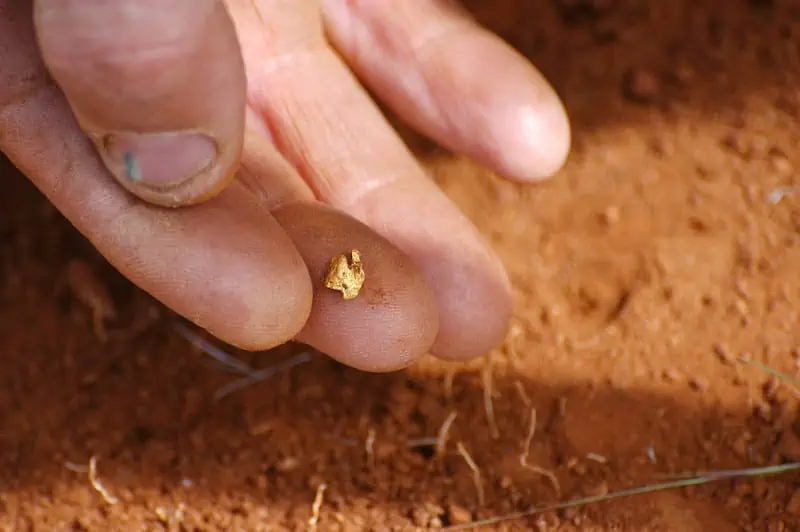 Gold nugget found from metal detecting