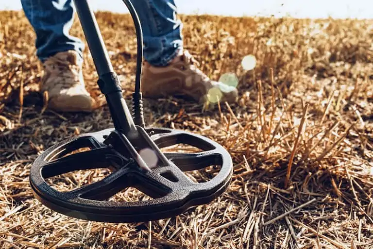 The 10 Best All Around Metal Detectors on the Market