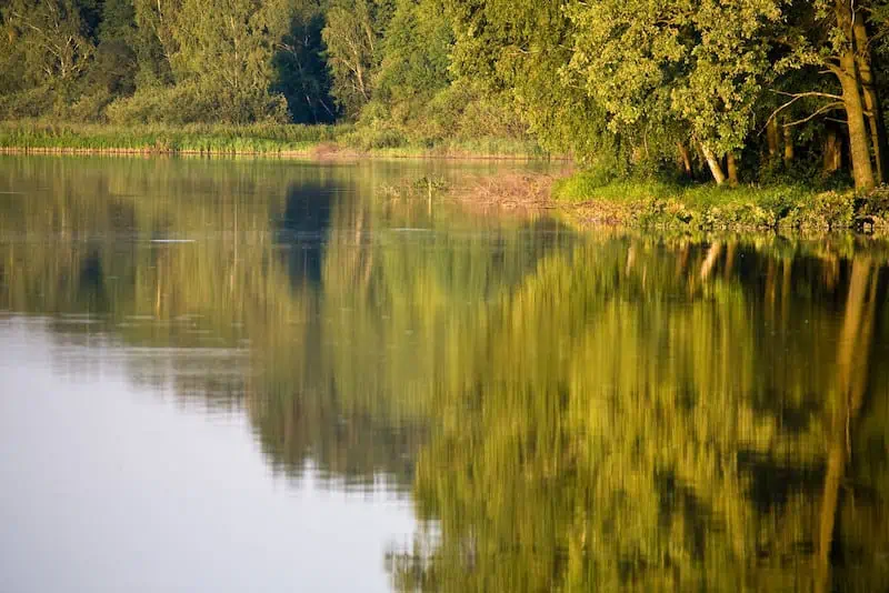 Metal detecting in rivers and streams and lakes is a smart way to find unique buried treasure