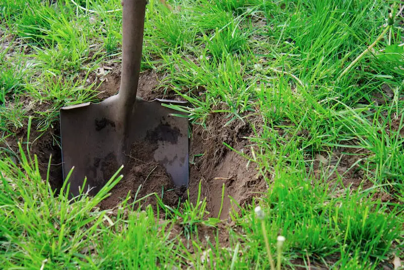 Metal Detecting Accessories (Shovel)