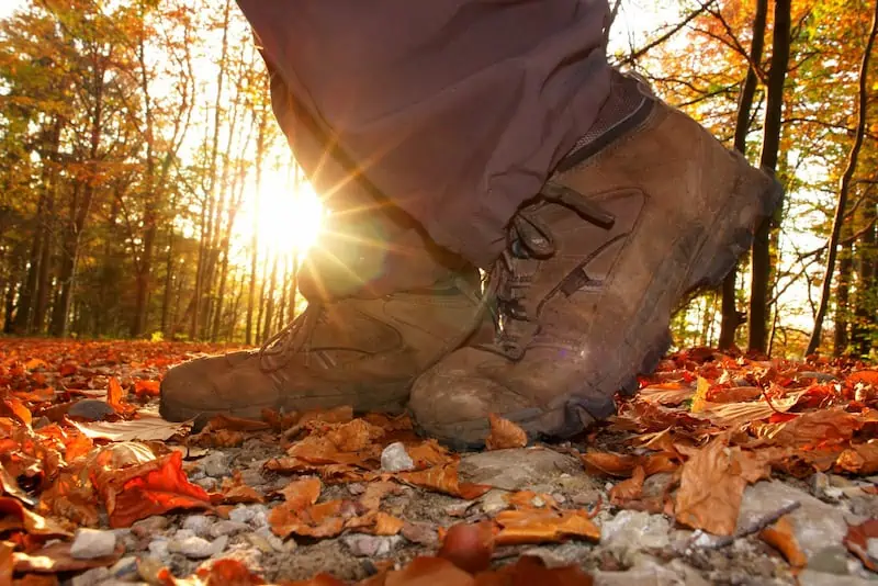 Metal Detecting Boots for Your Trips in the Woods