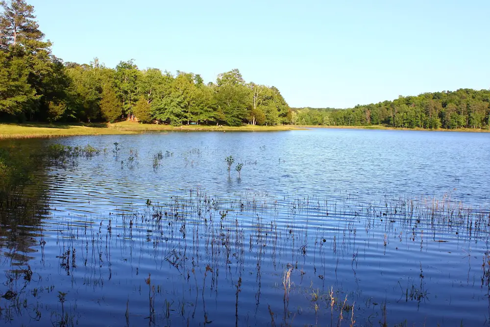 Are you ready to go metal detecting in Mississippi?